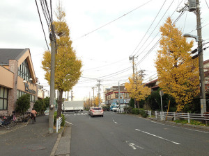 富岡から弁天の道路　ワイズマート、ライフガーデン新浦安付近