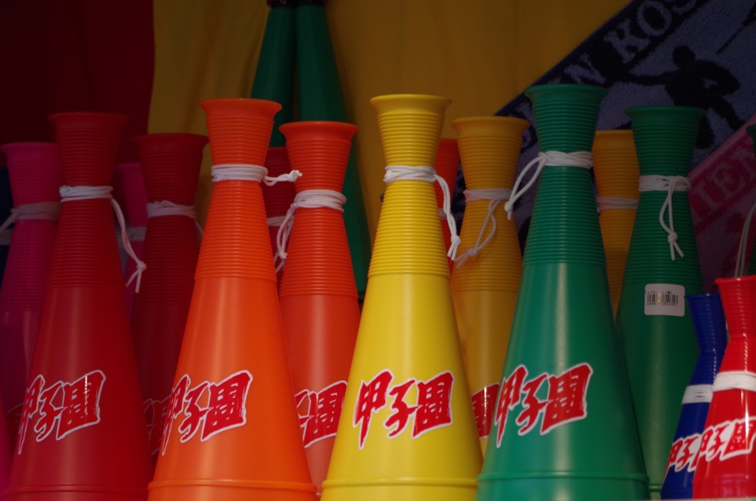 千葉県夏の甲子園予選