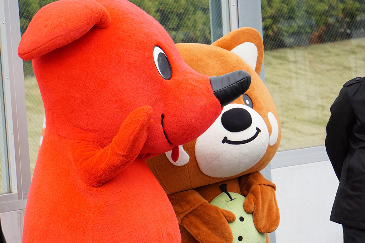 浦安鎌ヶ谷線開通式チーバくん市川梨丸