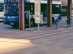 年末年始の東京ベイシティバス