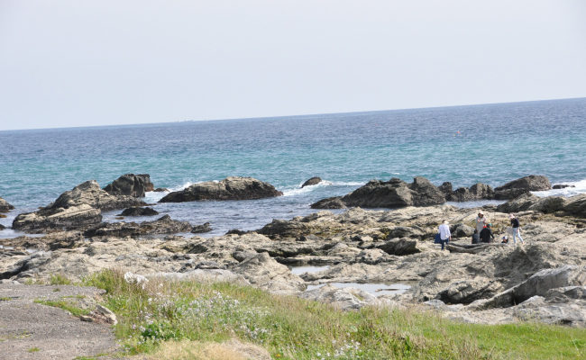 浦安から日帰り旅行 房総半島 館山市の魅力を徹底追及 浦安に住みたい Web