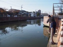 秋の境川で、ハゼ釣りに挑戦してきました！ 初心者でもめっちゃ釣れるので楽しかった♪