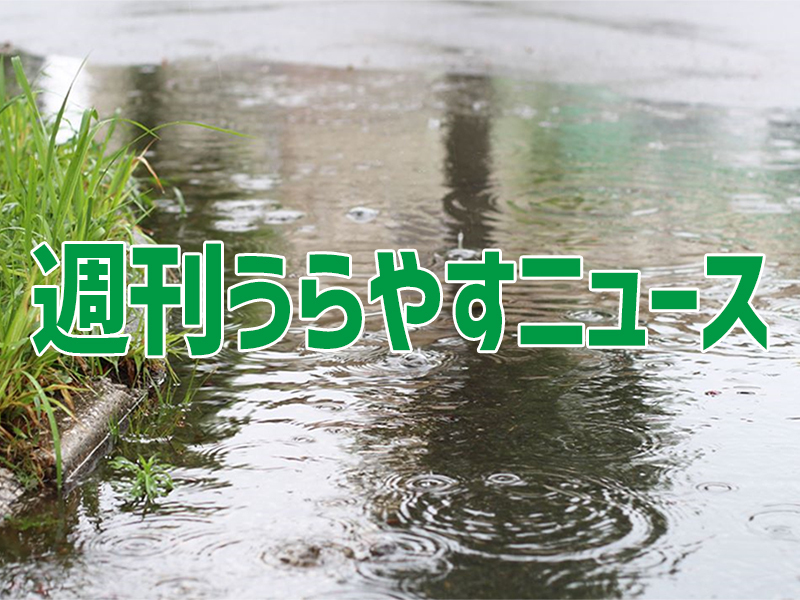 週刊うらやすニュース06090615