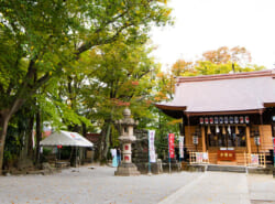 【浦安三社の初詣】浦安の年末年始は3密をさけて、一人ひとりの願いが届くように風通しの良い初詣を。