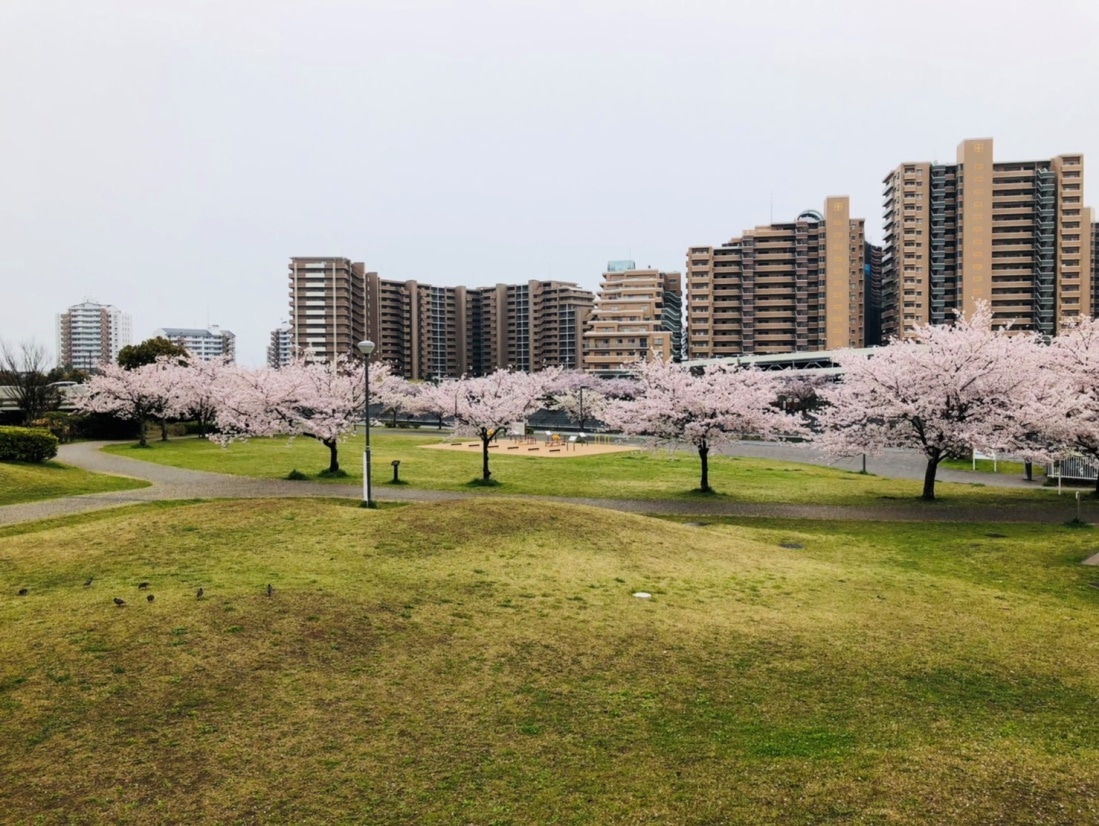 明海 の 丘 公園