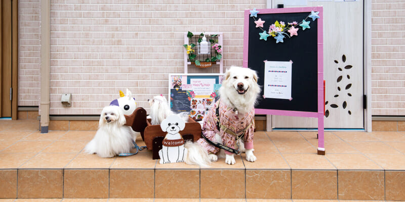 取材日当日来店されていたわんちゃんたち。お店前で記念の撮影会です。