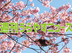 【浦安の情報あれこれ】週刊うらやすニュース 2024/3/9～2024/3/15