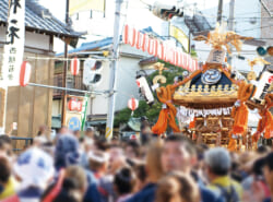 【浦安三社祭2024】各神社のお神輿渡行ルートはこちら！