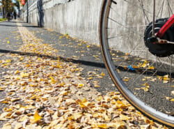 「サイクルショップかんべ」さんと学ぶ！ 「新自転車ルール」ながら運転・飲酒運転も対象に。2024年11月の改正点まとめ