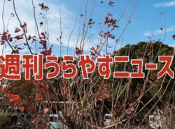 【浦安の情報あれこれ】週刊うらやすニュース 2024/11/30～2024/12/6