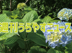 【浦安の情報あれこれ】週刊うらやすニュース 2025/5/17～2025/5/23