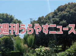 【浦安の情報あれこれ】週刊うらやすニュース 2025/5/31～2025/6/6