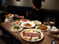 【浦安ペット情報】新浦安のビストロ「ラプラージュ」で、愛犬とワインと料理を楽しむ幸せ時間♡ ≪無料送迎サービスもあります♪≫