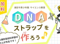 7/25(金)開催｜ビーズで作る【DNAストラップを作ろう♪】@浦安市青少年館