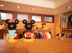 【NewOpen】「夢はもっと身近でいい——」浦安に誕生した、キャラクター古着専門店「mic by mellow」ミック・バイ・メロウ が満を持してオープン！