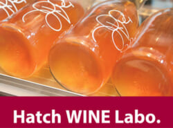浦安の街に“ワイナリー”という新しい風を応援！ 『Hatch WINE Labo.』が【クラウドファンディング】挑戦中！