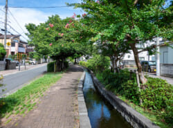 【特集】当代島でゆうゆうライフ