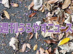 【浦安の情報あれこれ】週刊うらやすニュース 2025/9/6～2025/9/12
