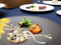 この秋、「舞浜ビューホテル by HULIC」 がリブランド！ 浦安の魅力も“つむぐ”新たなステージへ——