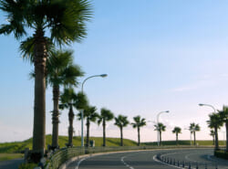 【2025年11月12月】浦安市イベント情報はこちらから! 【2025年11月12月】浦安市イベント情報はこちらから!