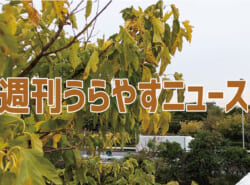 【浦安の情報あれこれ】週刊うらやすニュース 2025/11/1～2025/11/7