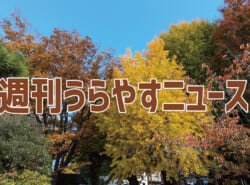 【浦安の情報あれこれ】週刊うらやすニュース 2025/11/15～2025/11/21