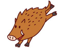 【11/21更新】あのイノシシは今どこに？！新浦安エリアで相次ぐ出没！【浦安市公式サイト更新情報】