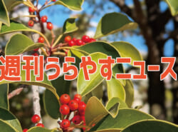 【浦安の情報あれこれ】週刊うらやすニュース 2025/12/6~2025/12/12 【浦安の情報あれこれ】週刊うらやすニュース 2025/12/6~2025/12/12