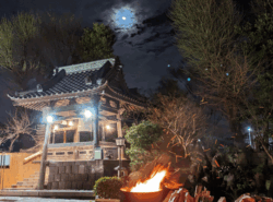 12/31(水) 2025年の締めくくりに｜大蓮寺　除夜の鐘｜初詣は浦安三神社へ