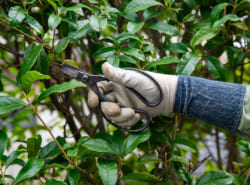 【特集】浦安でまだまだ働きたい！ 働く人ファイルNo,1