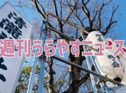 【浦安の情報あれこれ】週刊うらやすニュース 2026/1/3~2026/1/9 【浦安の情報あれこれ】週刊うらやすニュース 2026/1/3~2026/1/9