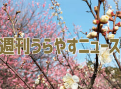 【浦安の情報あれこれ】週刊うらやすニュース 2026/1/10～2026/1/16
