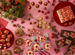 約25種類の苺スイーツと本格ランチ｜2/21(土)～23(月・祝)開催「ストロベリースイーツブッフェ～Strawberry Flower Garden～」＠グランドニッコー東京ベイ 舞浜
