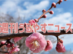 【浦安の情報あれこれ】週刊うらやすニュース 2026/2/7~2026/2/13 【浦安の情報あれこれ】週刊うらやすニュース 2026/2/7~2026/2/13