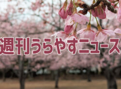 【浦安の情報あれこれ】週刊うらやすニュース 2026/2/21～2026/2/27