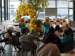 春の風を感じながら――LAUMELIAのミニフラショー、3月も開催されます!【3/8(日)・29(日)開催】 春の風を感じながら――LAUMELIAのミニフラショー、3月も開催されます!【3/8(日)・29(日)開催】