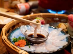 【新浦安】浦安の冬に「極上のご褒美」を！浦安市日の出「海王」で味わう「とらふぐコース」を体験してきました♪2月は≪ミニキャンペーン≫も有り♪