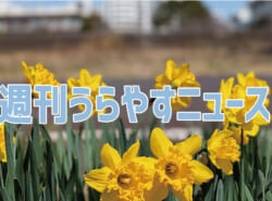 【浦安の情報あれこれ】週刊うらやすニュース 2026/2/28～2026/3/6