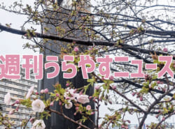 【浦安の情報あれこれ】週刊うらやすニュース 2026/3/21～2026/3/27