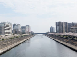 【4月5月】浦安市イベント情報はこちらから！