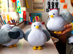【Urayasu Made】三番瀬の 「ユリカモメくん」ぬいぐるみ