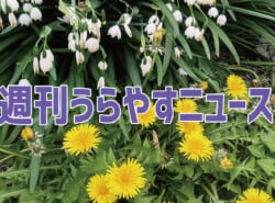 【浦安の情報あれこれ】週刊うらやすニュース 2026/4/4～2026/4/10