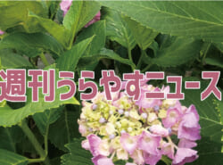【浦安の情報あれこれ】週刊うらやすニュース 2026/5/23～2026/5/29