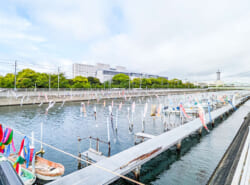 【5月6月】浦安市イベント情報はこちらから！